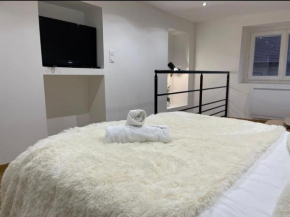 Le Duplex - Gare / Tram / Netflix Seyssinet-Pariset